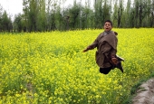 IIP Online Student Photography